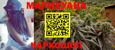 гидропоника Будённовск
